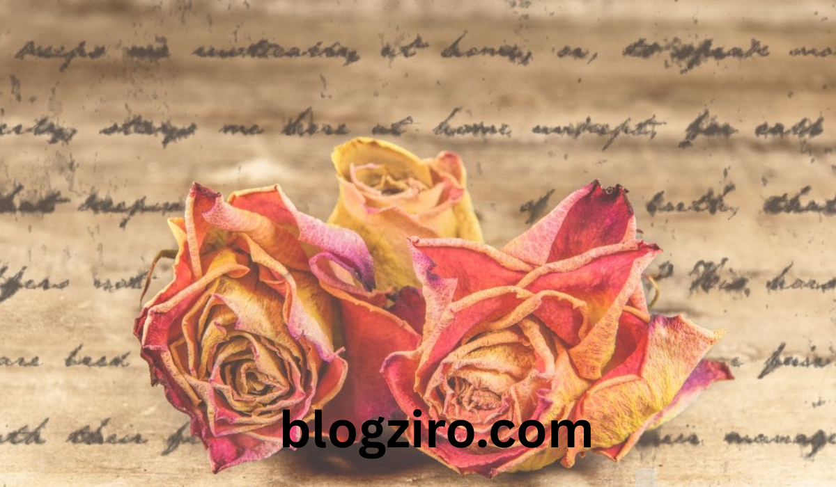 poetry from the romantic era